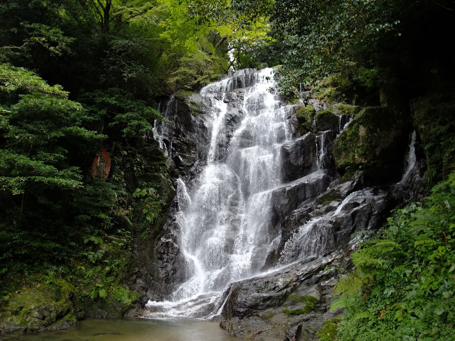 Shiraito Falls spreading in white threads over a rock face in the forest above Itoshima