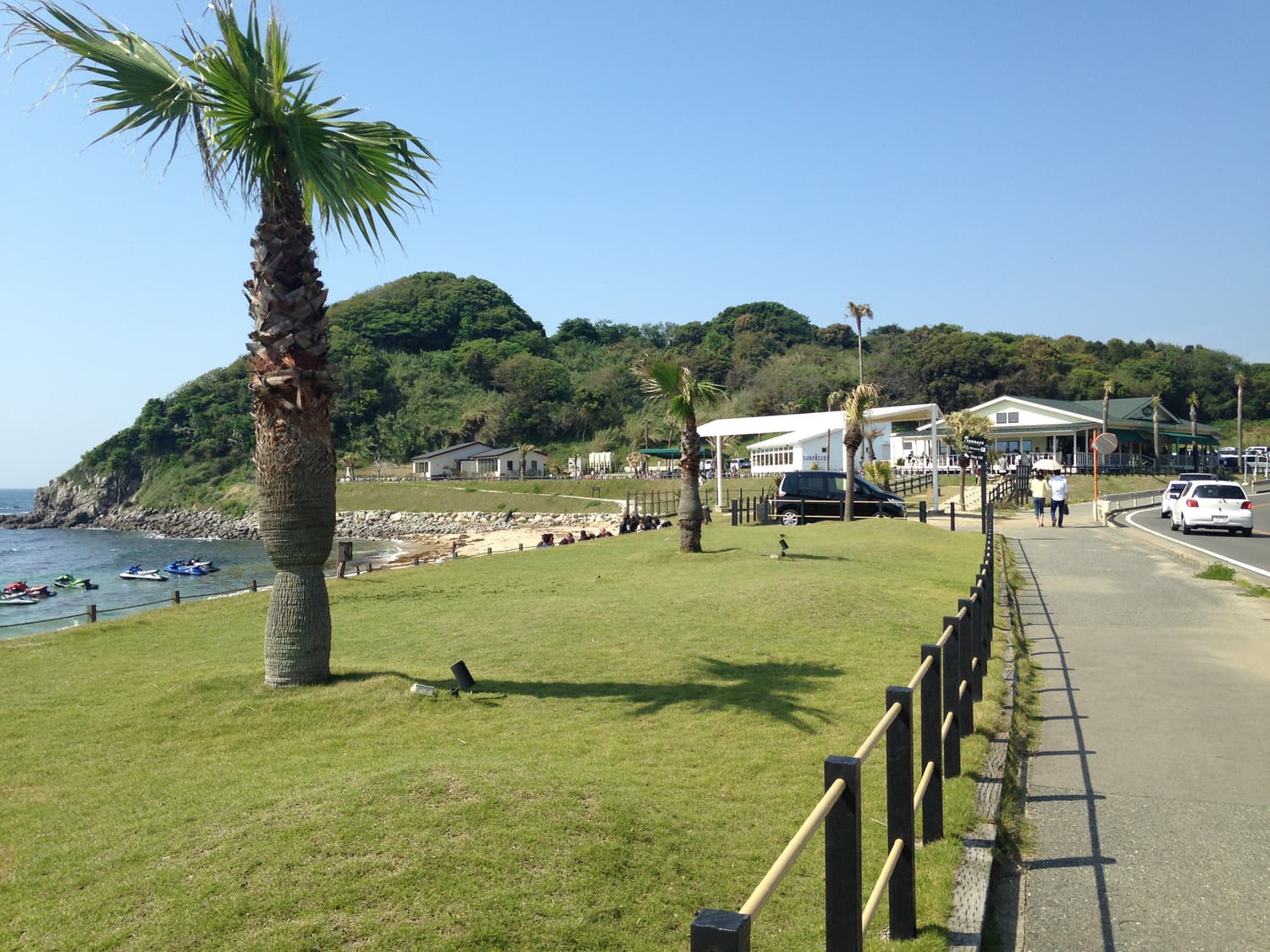 A palm tree and seaside path beside the coast road near Futamigaura, Itoshima